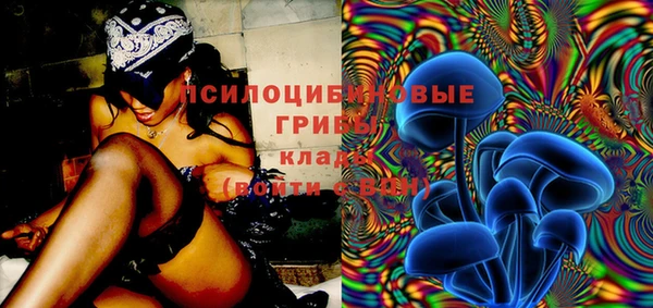бутират Алексеевка