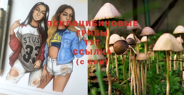 бутират Алексеевка