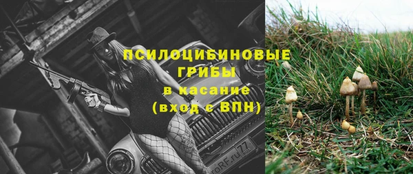 ПСИЛОЦИБИНОВЫЕ ГРИБЫ Абдулино