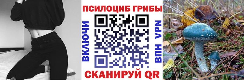 Галлюциногенные грибы MAGIC MUSHROOMS  shop состав  Кемь 